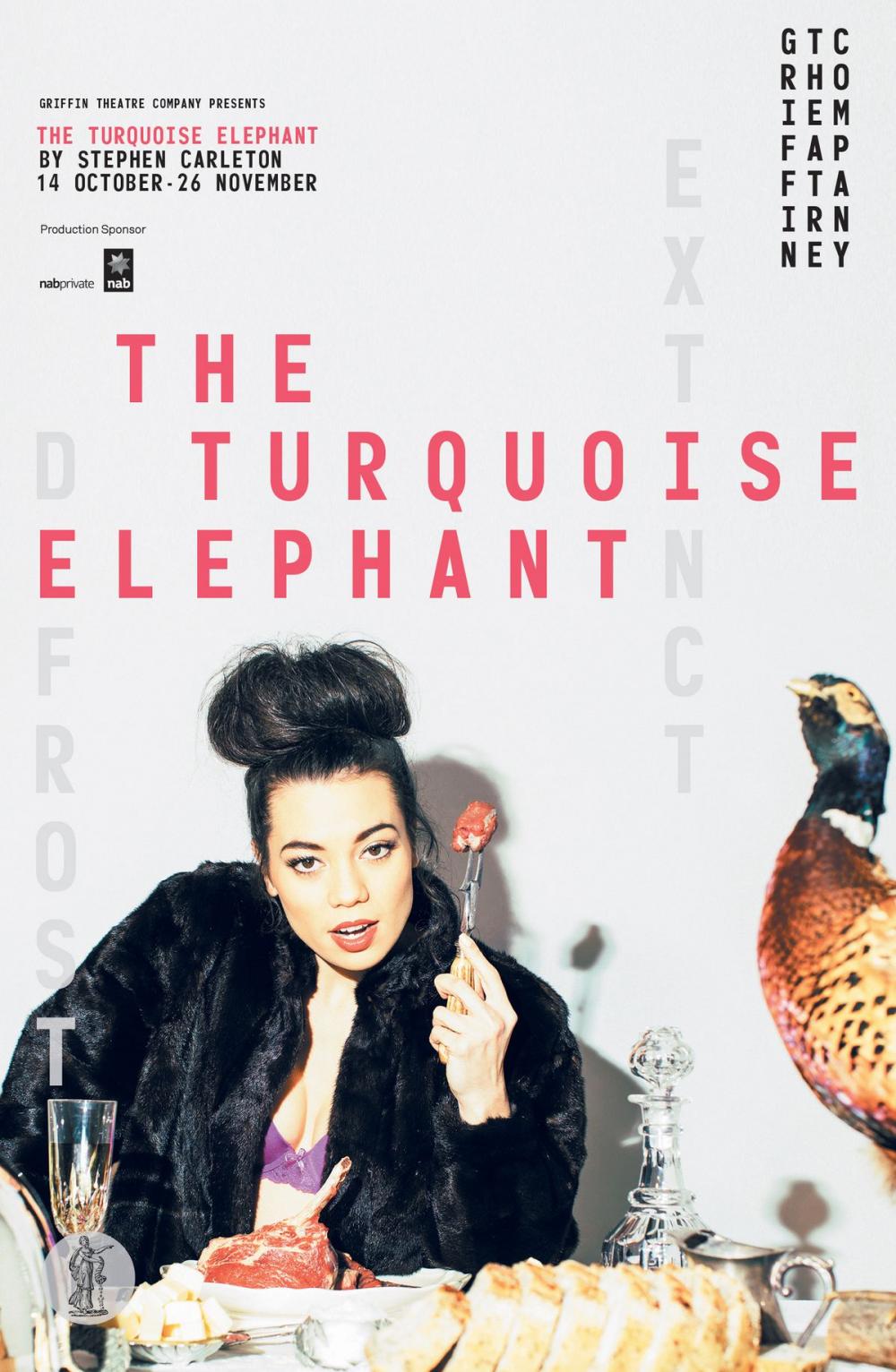 Big bigCover of The Turquoise Elephant