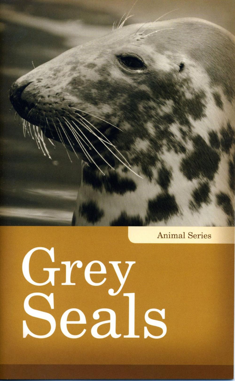 Big bigCover of Grey Seals