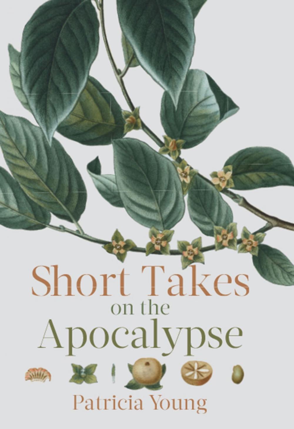 Big bigCover of Short Takes on the Apocalypse