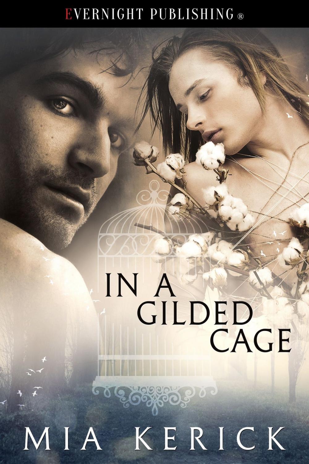 Big bigCover of In a Gilded Cage