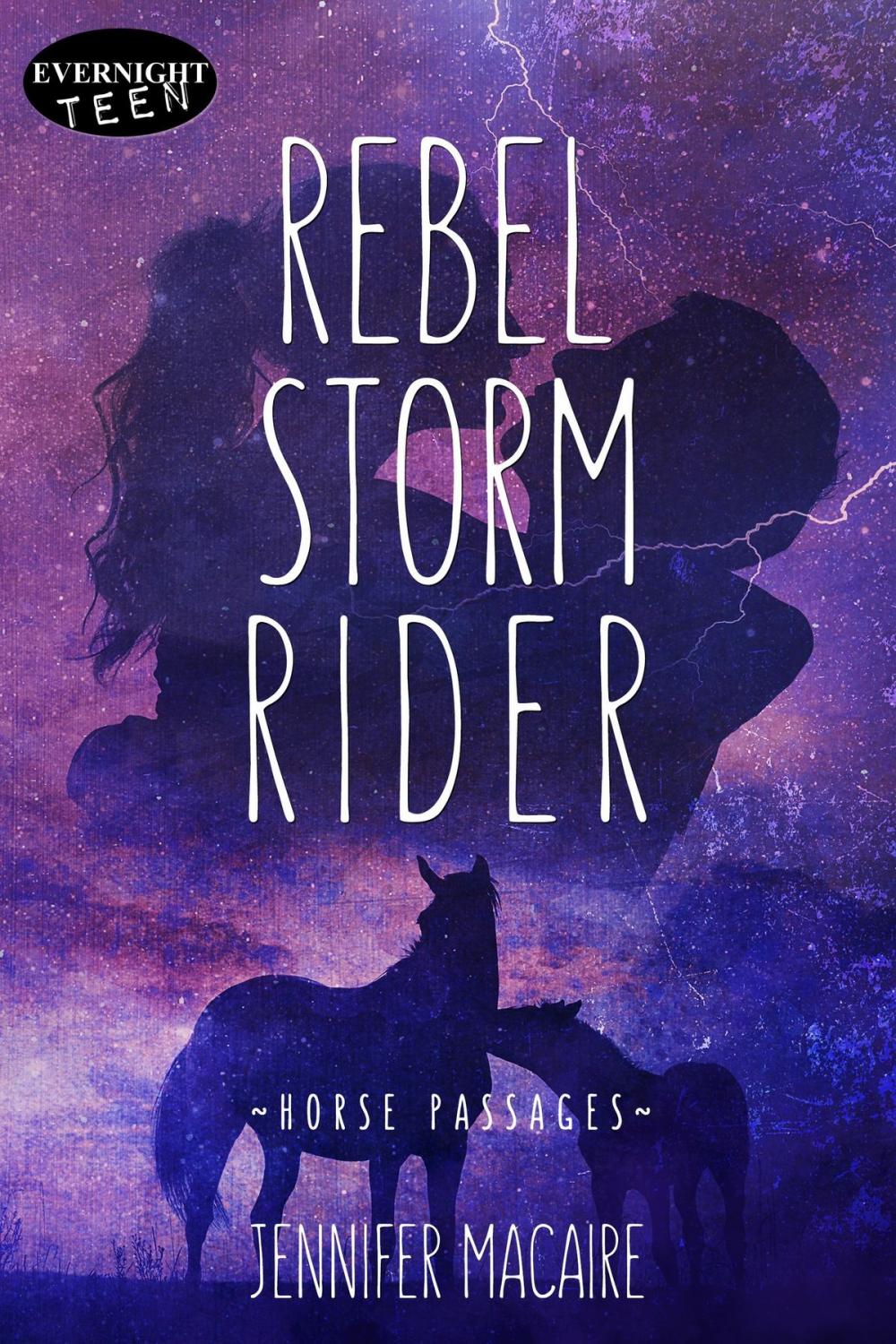 Big bigCover of Rebel Storm Rider