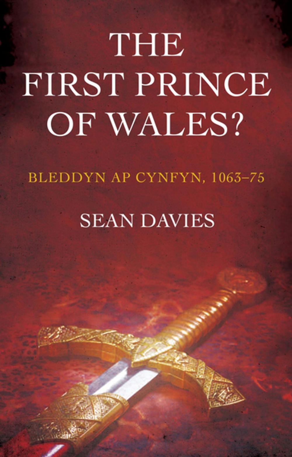 Big bigCover of The First Prince of Wales?