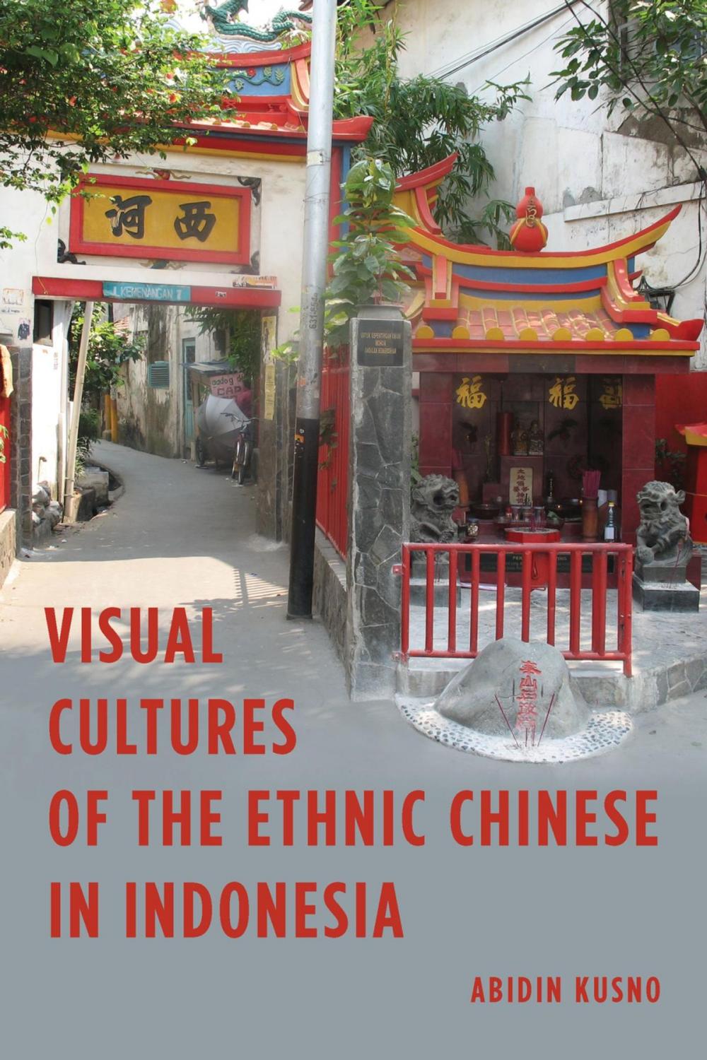 Big bigCover of Visual Cultures of the Ethnic Chinese in Indonesia