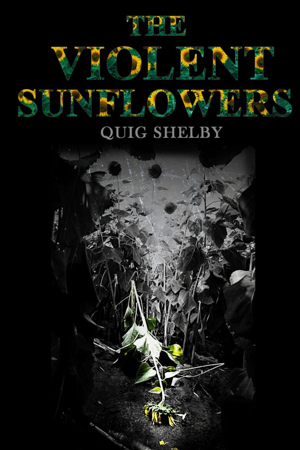 Big bigCover of The Violent Sunflowers