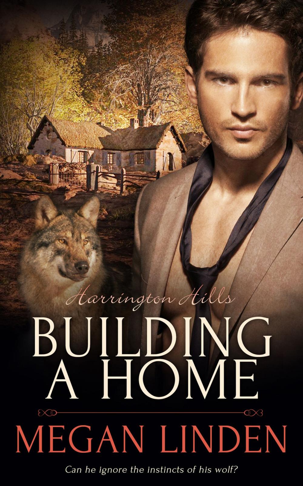 Big bigCover of Building a Home