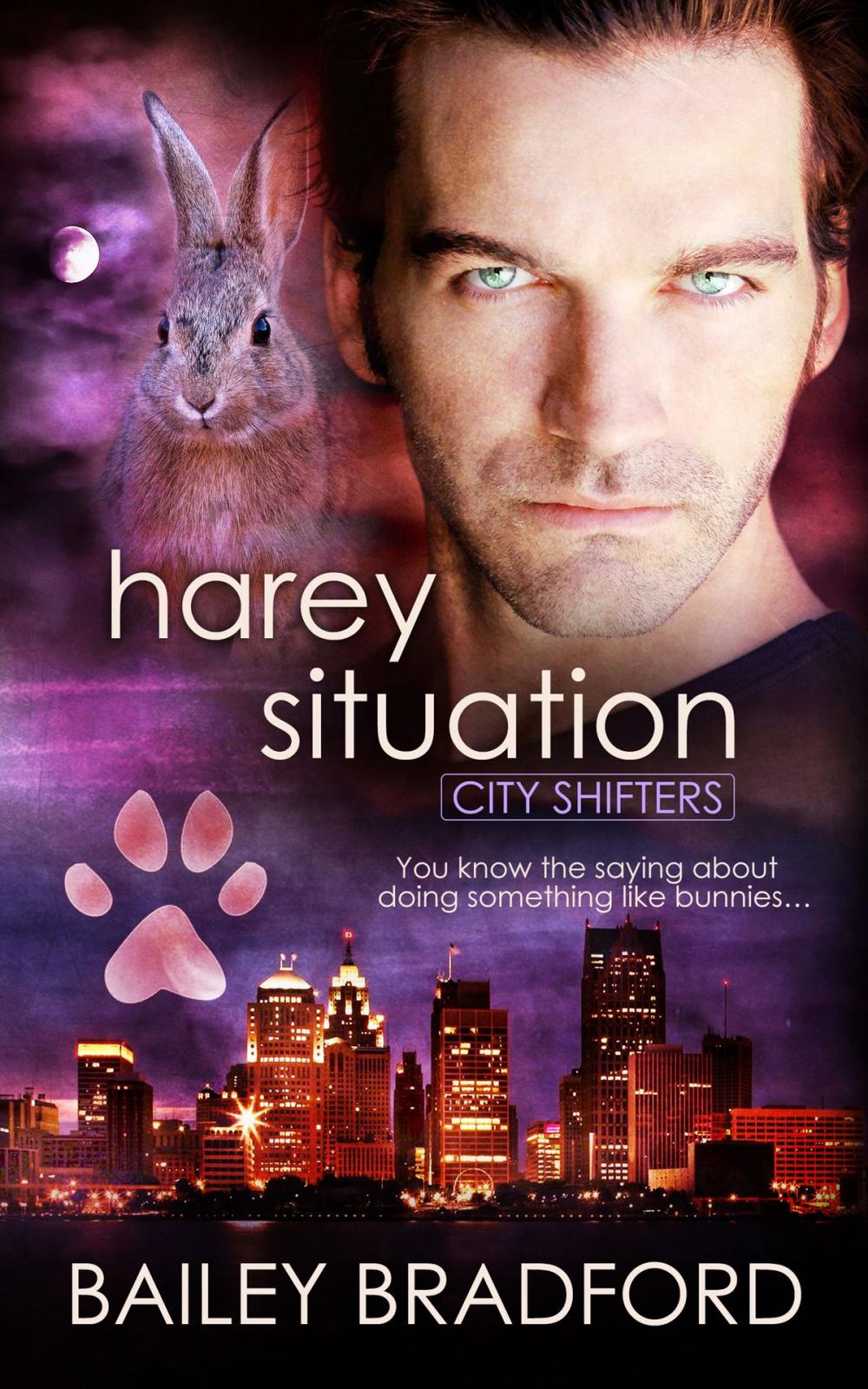 Big bigCover of Harey Situation