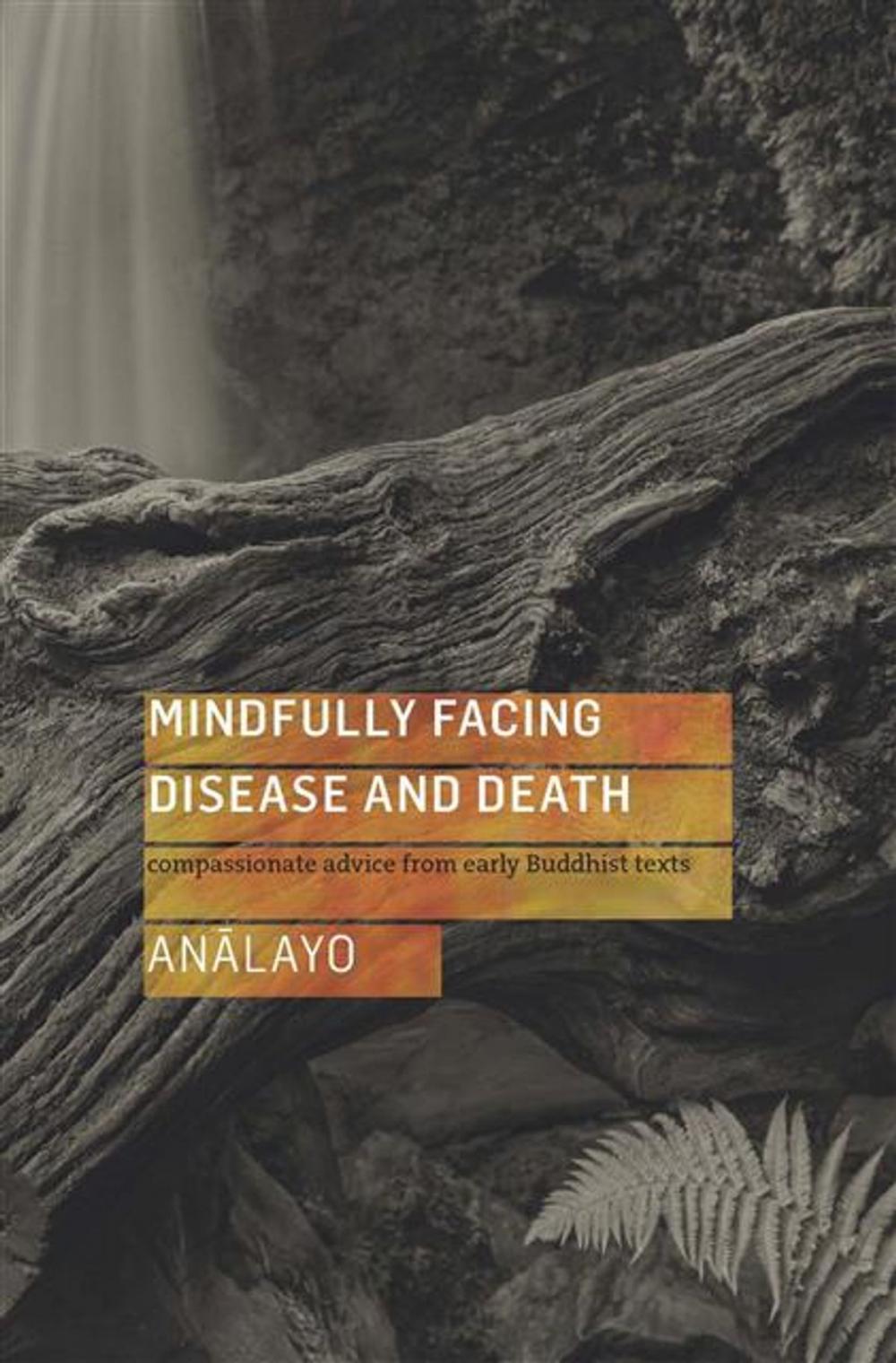 Big bigCover of Mindfully Facing Disease and Death