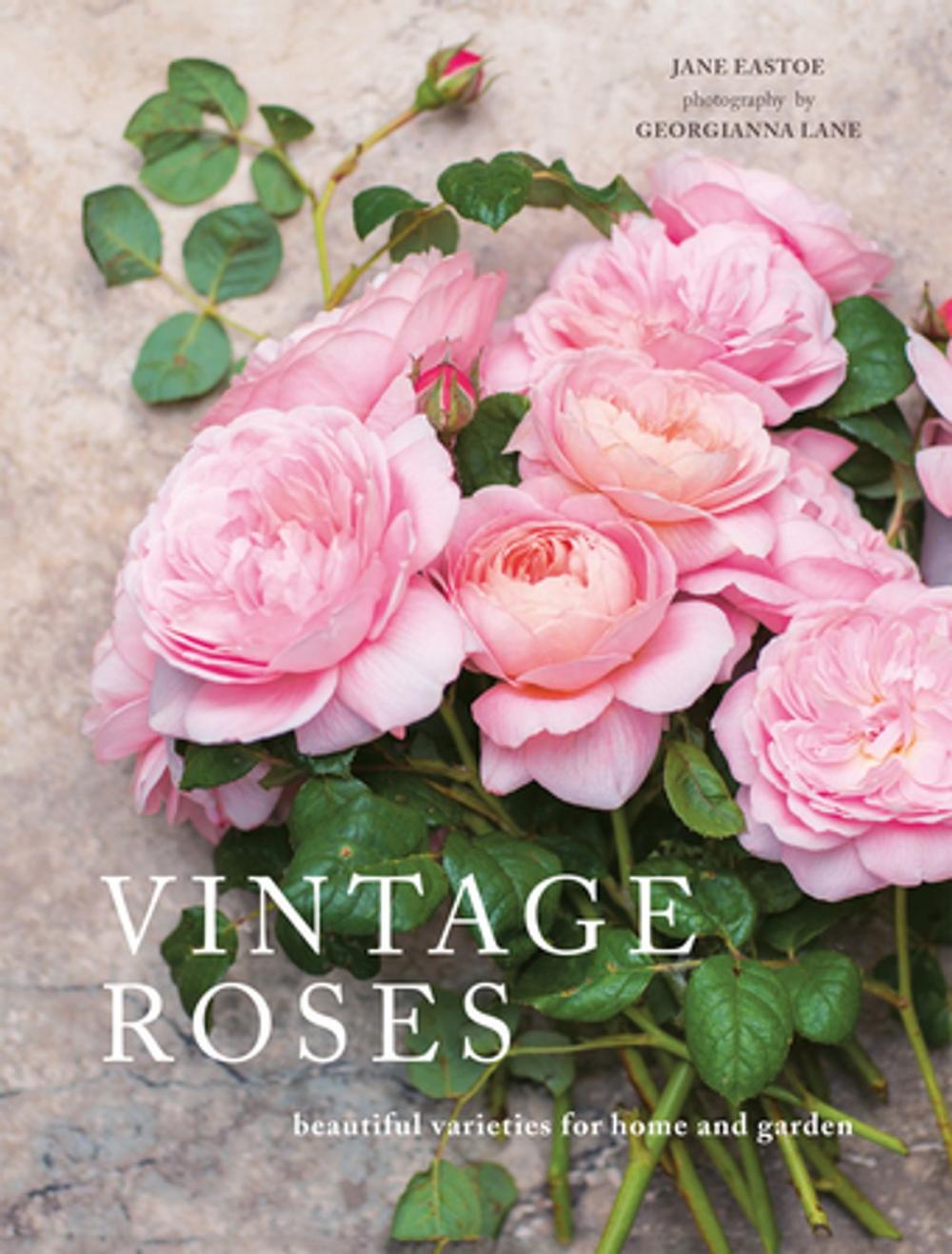 Big bigCover of Vintage Roses