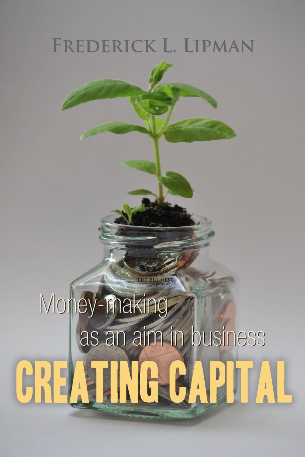 Big bigCover of Creating Capital