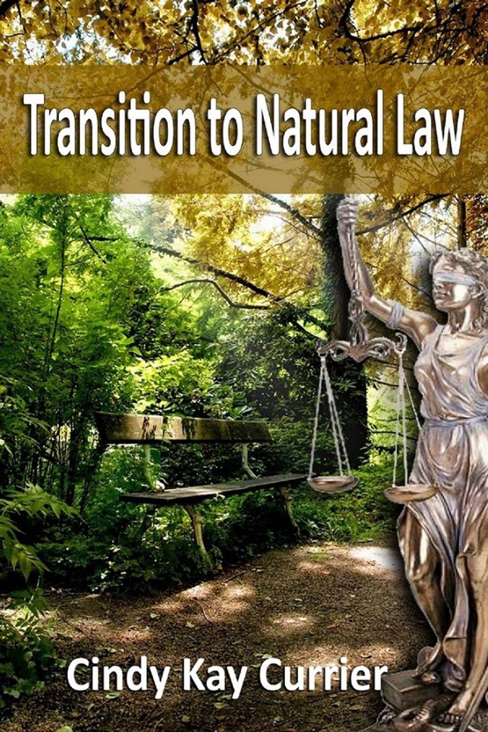 Big bigCover of Transition to Natural Law