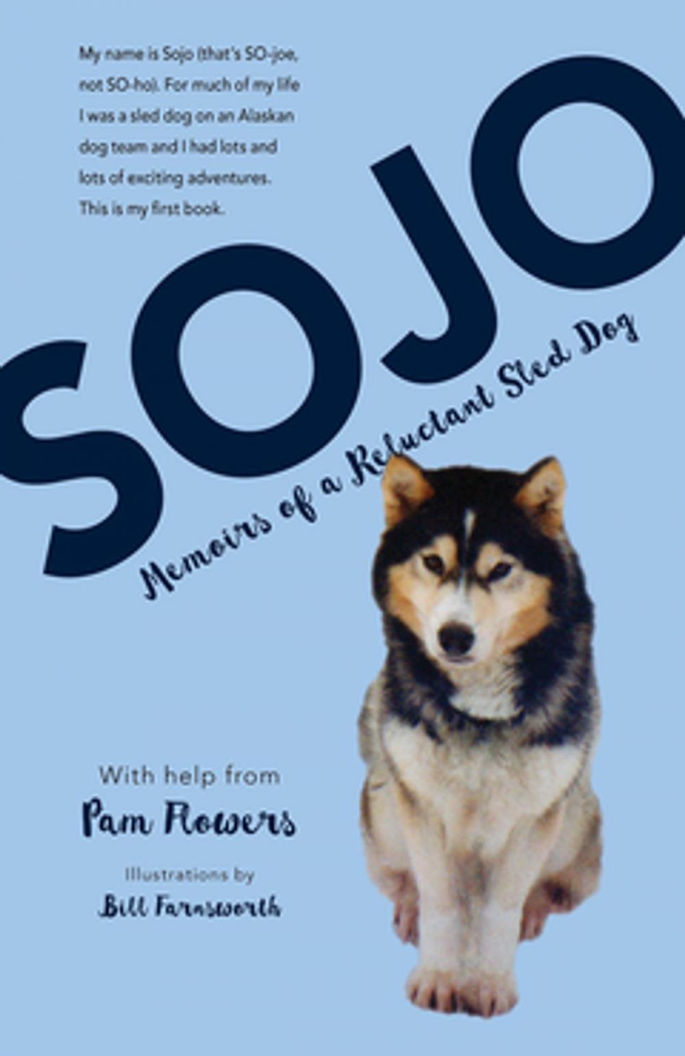 Big bigCover of Sojo