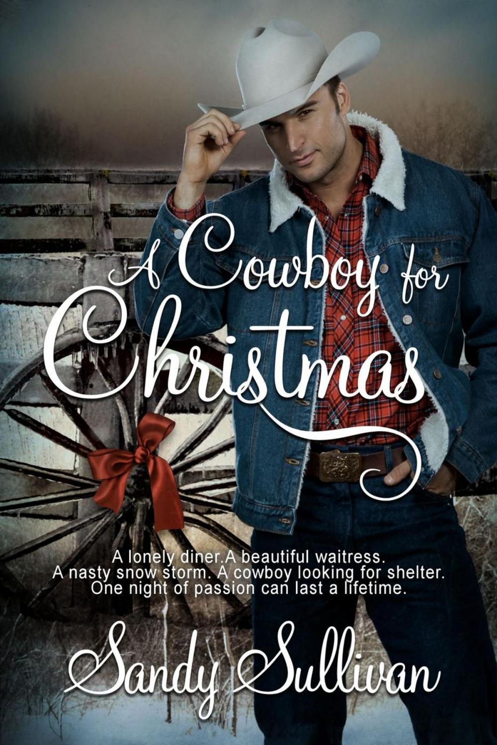 Big bigCover of A Cowboy for Christmas