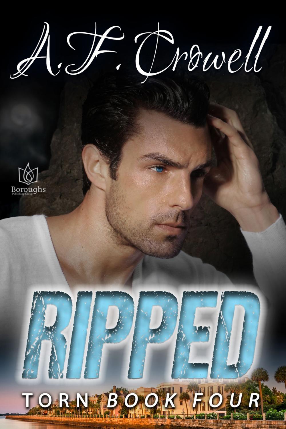 Big bigCover of Ripped