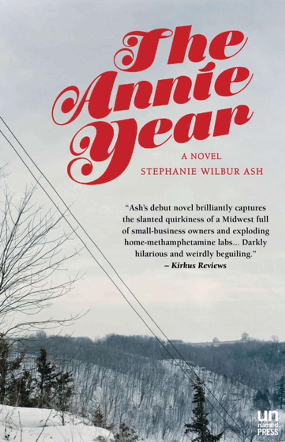 Big bigCover of The Annie Year