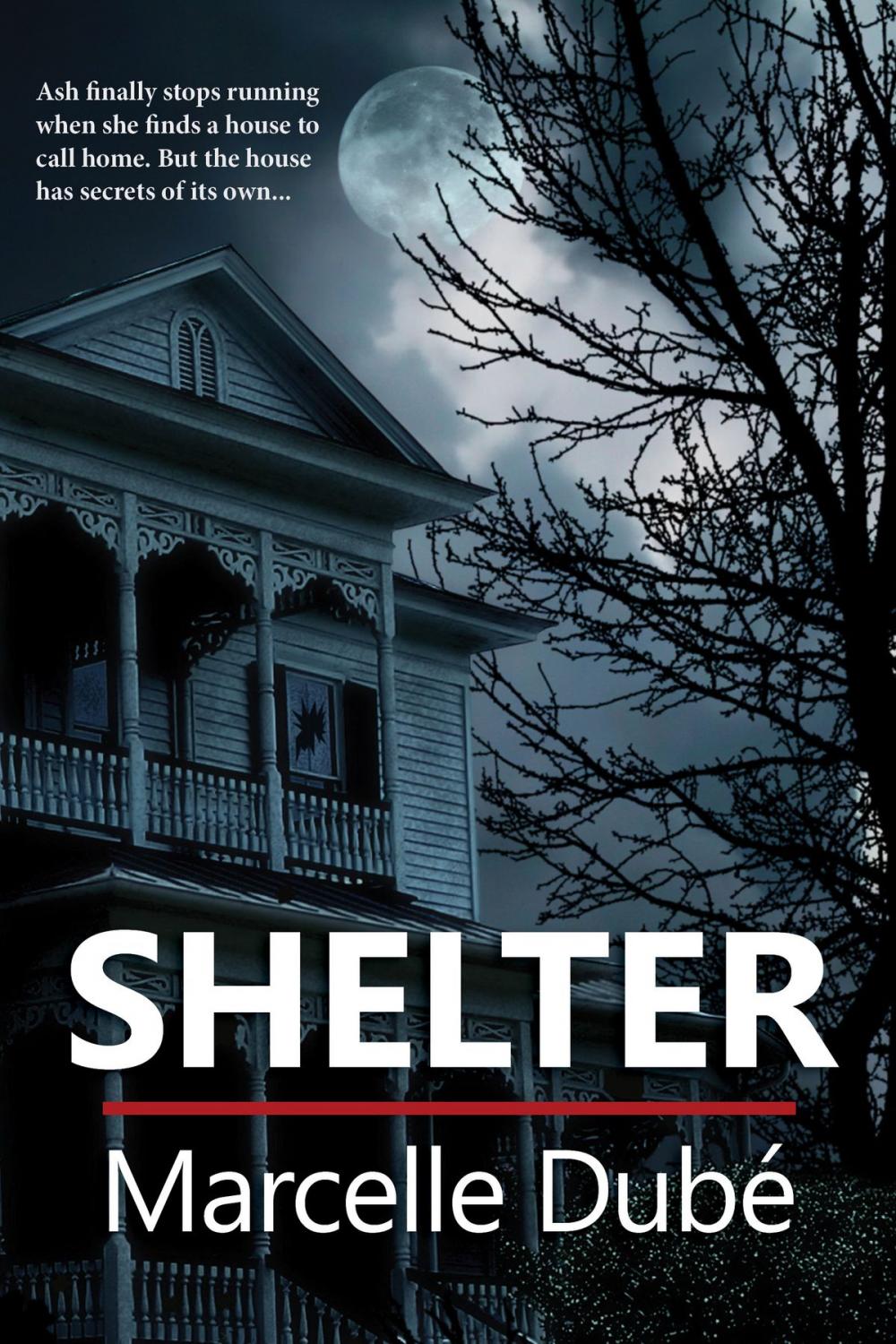 Big bigCover of Shelter