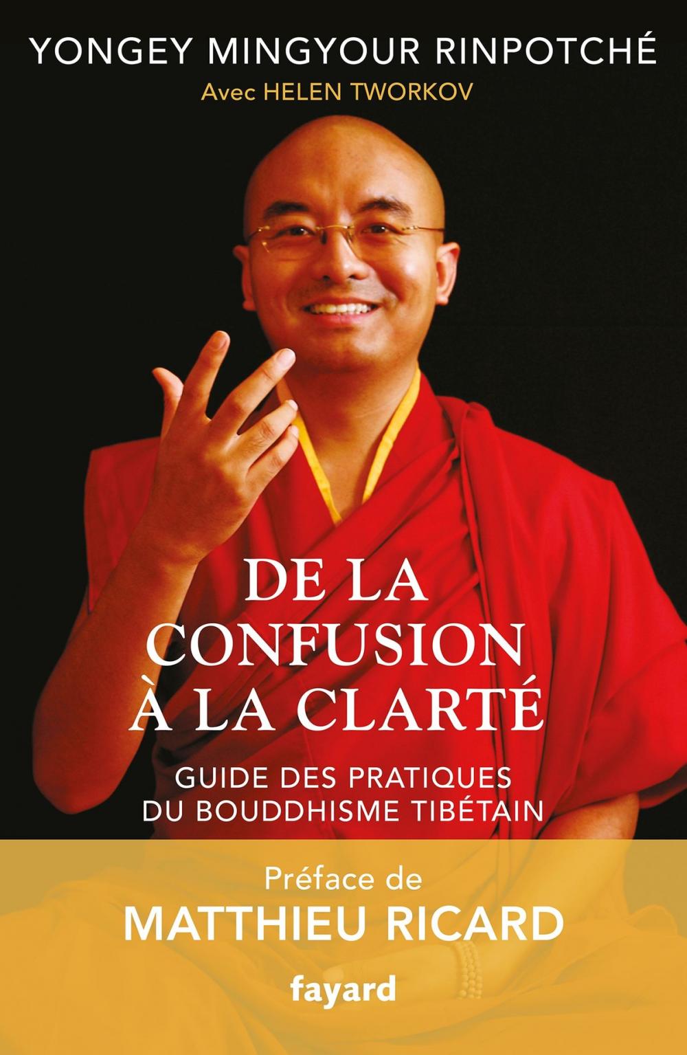 Big bigCover of De la confusion à la clarté