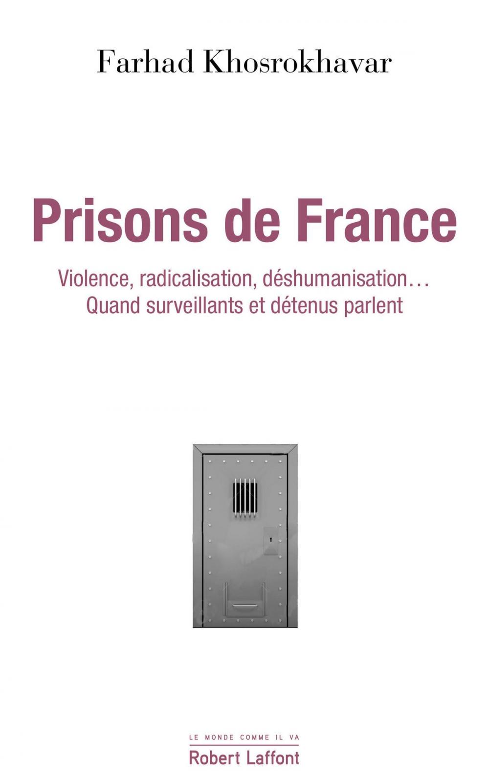 Big bigCover of Prisons de France