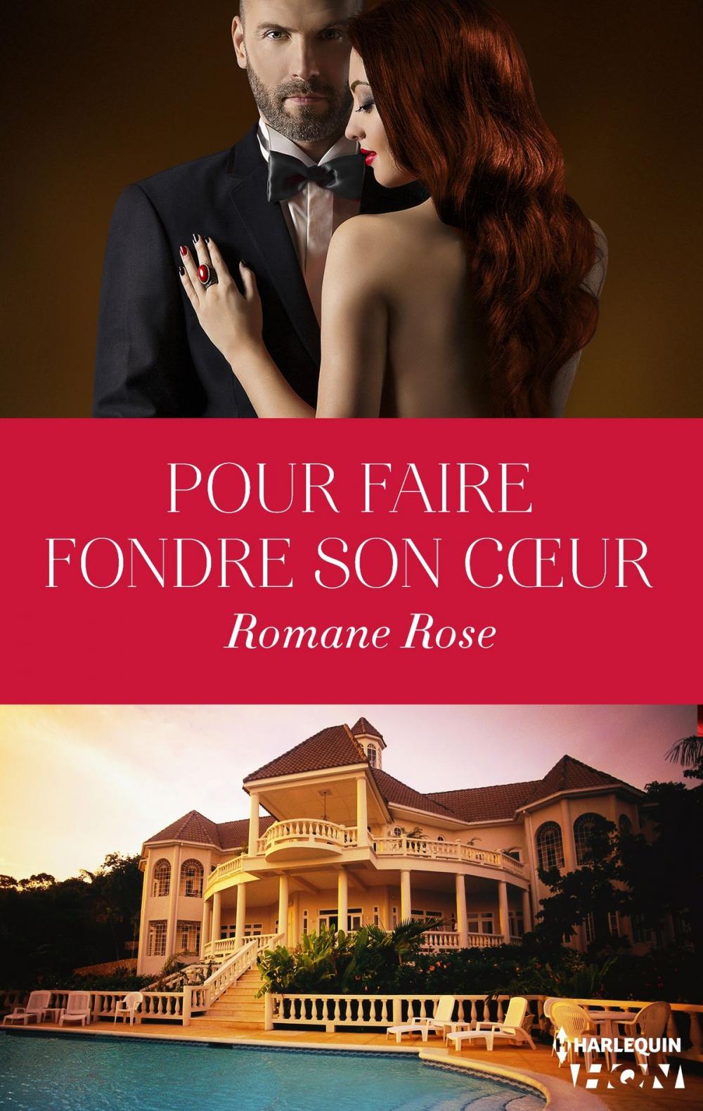 Big bigCover of Pour faire fondre son coeur