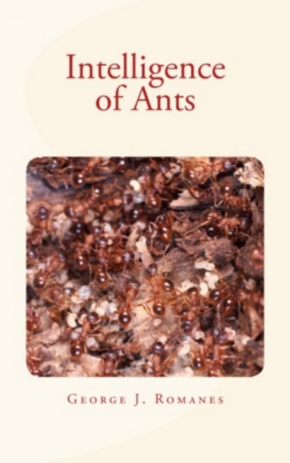 Big bigCover of Intelligence of Ants