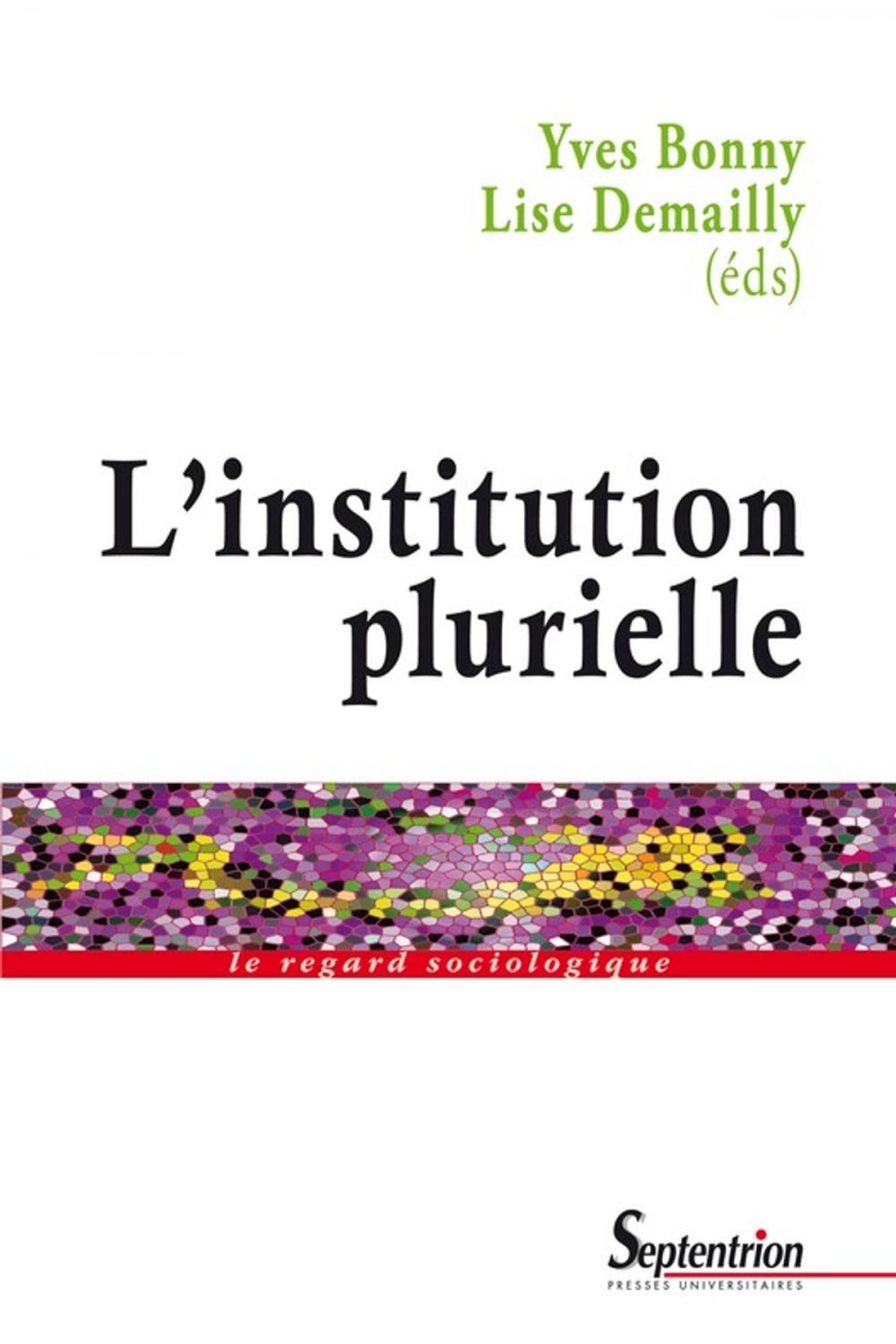 Big bigCover of L'institution plurielle