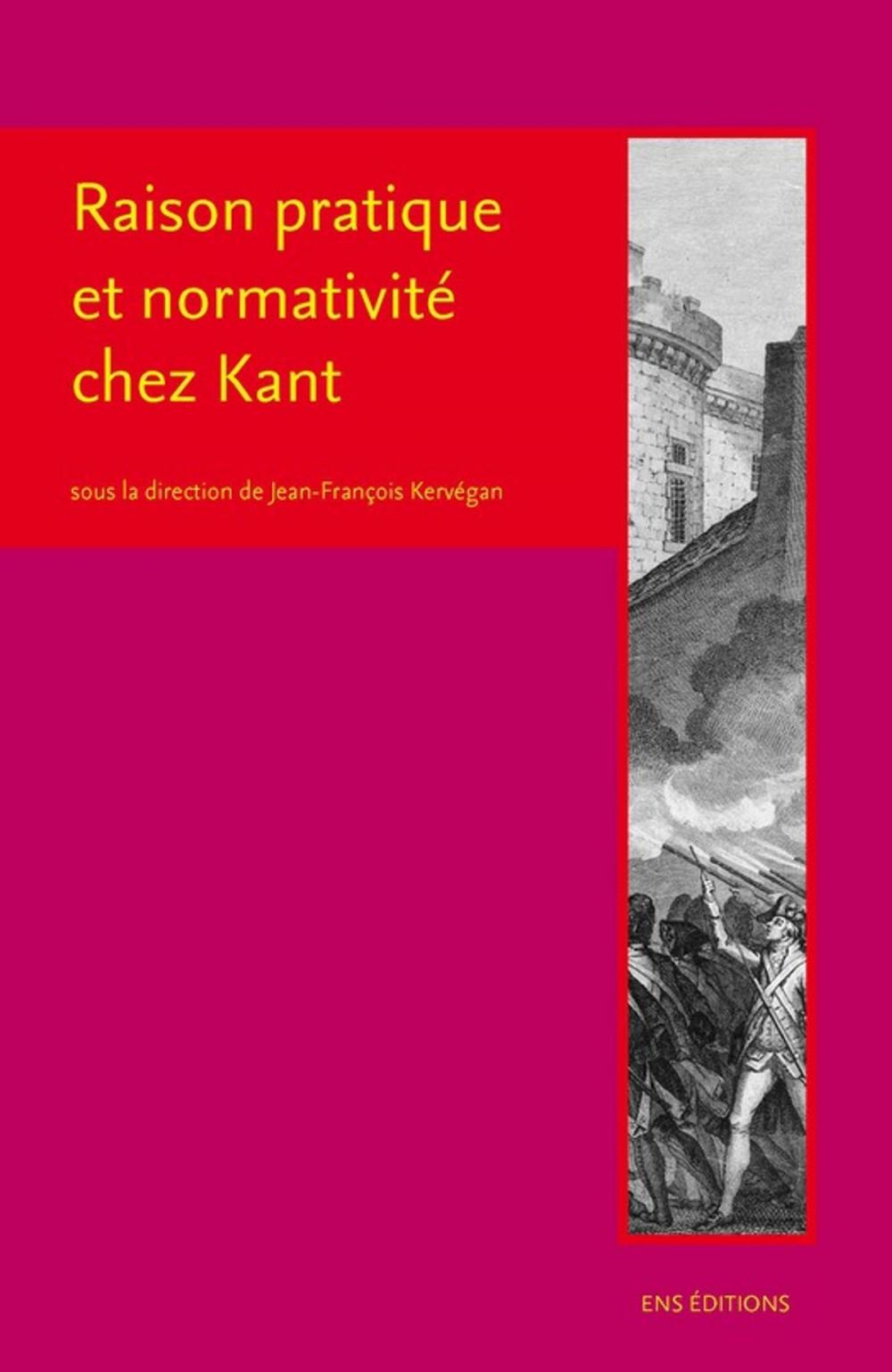 Big bigCover of Raison pratique et normativité chez Kant