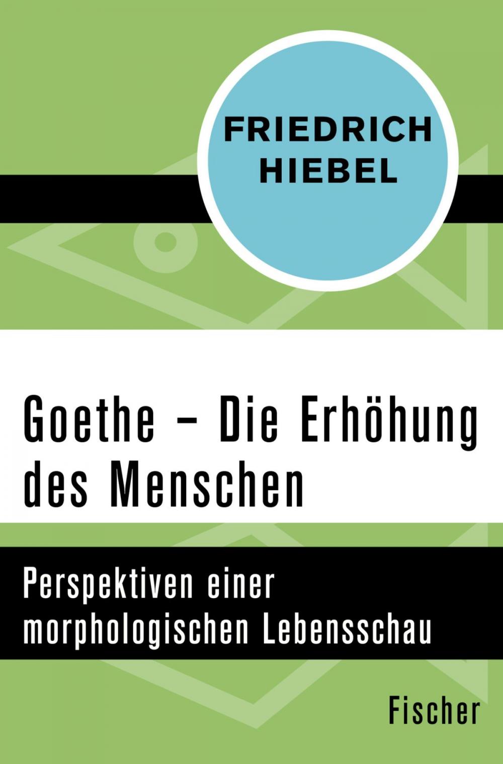 Big bigCover of Goethe