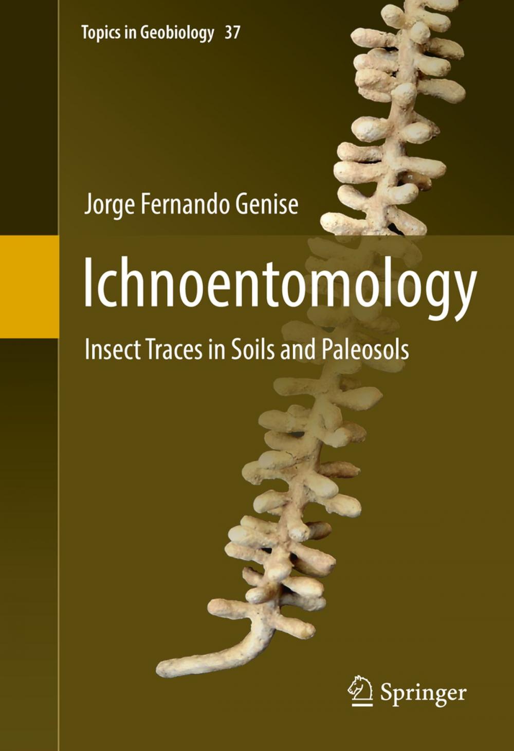 Big bigCover of Ichnoentomology