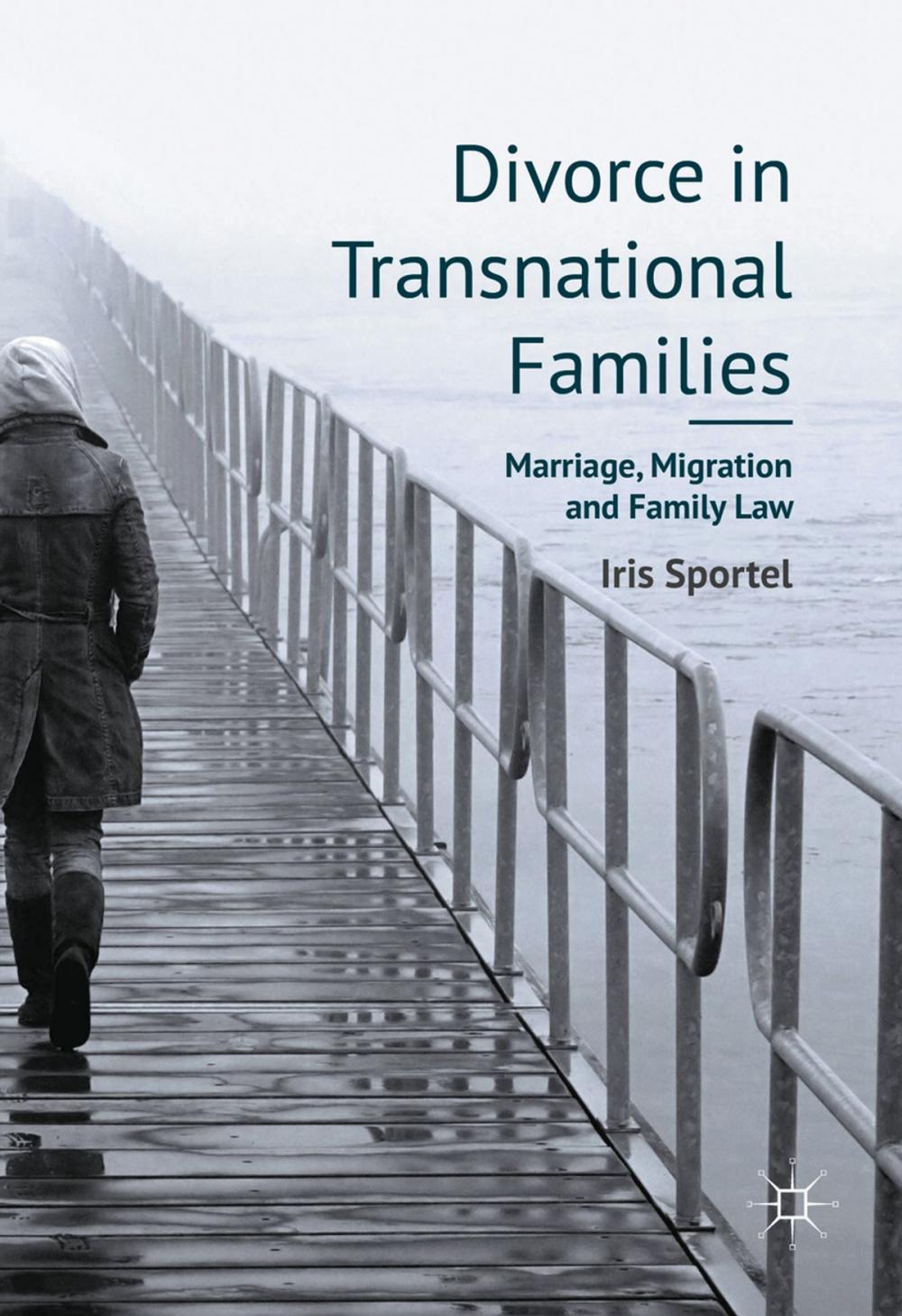 Big bigCover of Divorce in Transnational Families