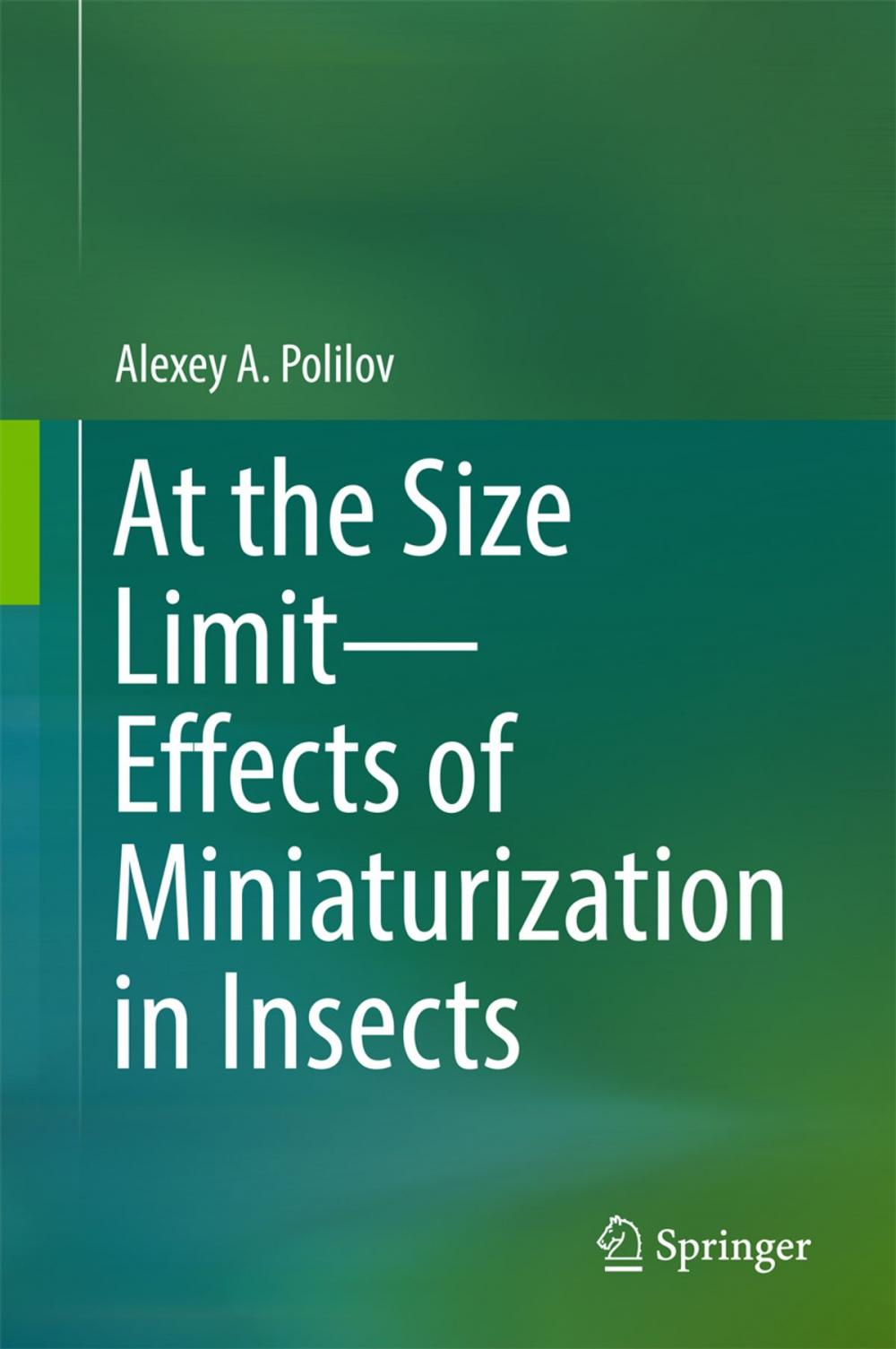 Big bigCover of At the Size Limit - Effects of Miniaturization in Insects