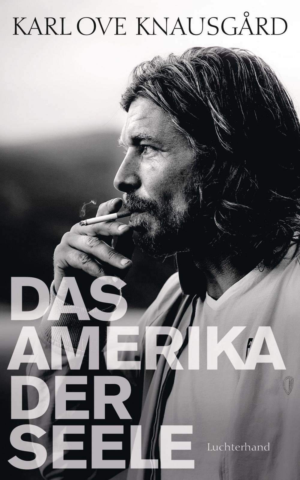 Big bigCover of Das Amerika der Seele