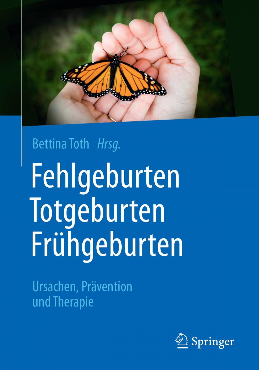 Big bigCover of Fehlgeburten Totgeburten Frühgeburten