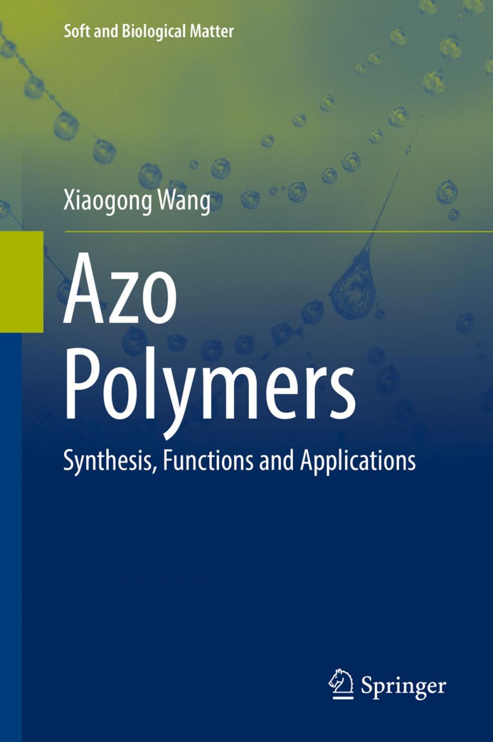 Big bigCover of Azo Polymers