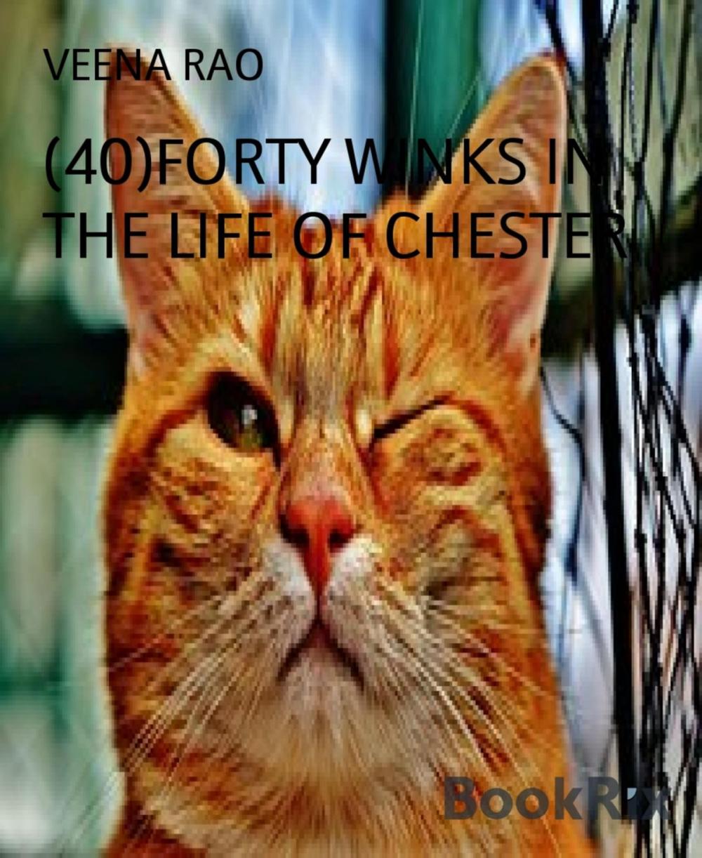 Big bigCover of (40)FORTY WINKS IN THE LIFE OF CHESTER