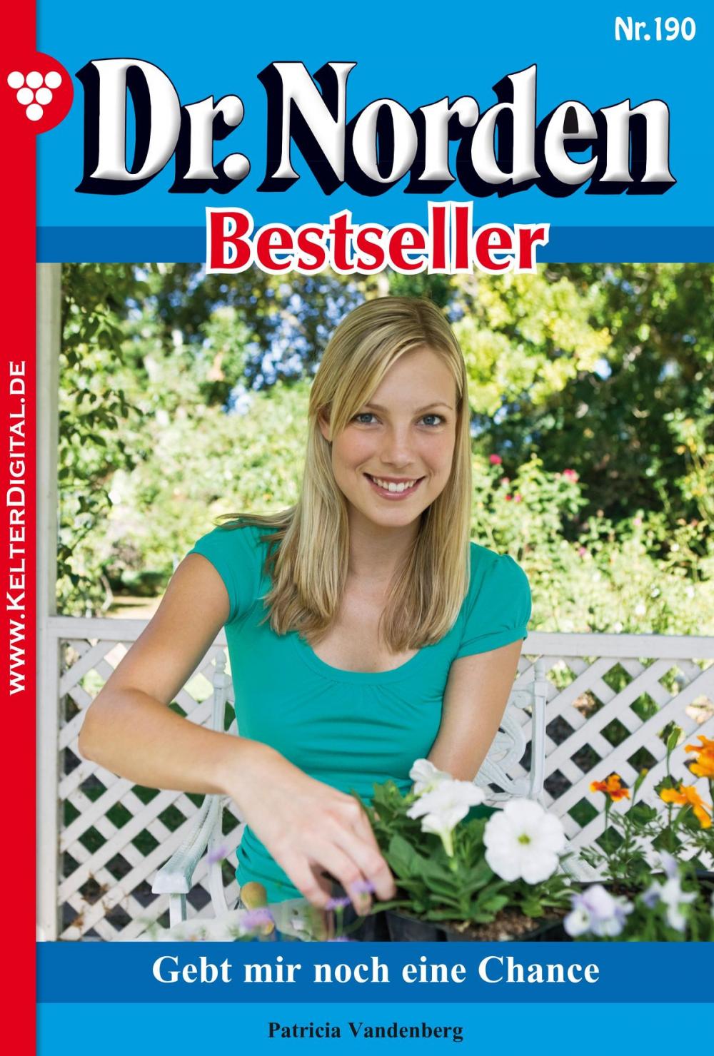 Big bigCover of Dr. Norden Bestseller 190 – Arztroman