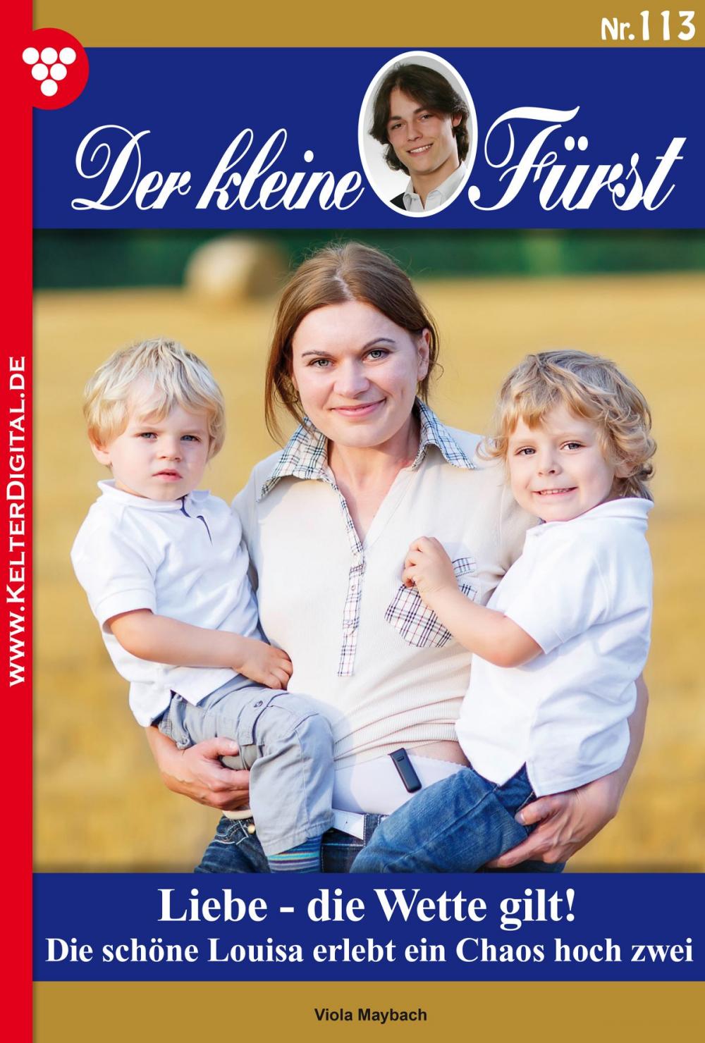 Big bigCover of Der kleine Fürst 113 – Adelsroman