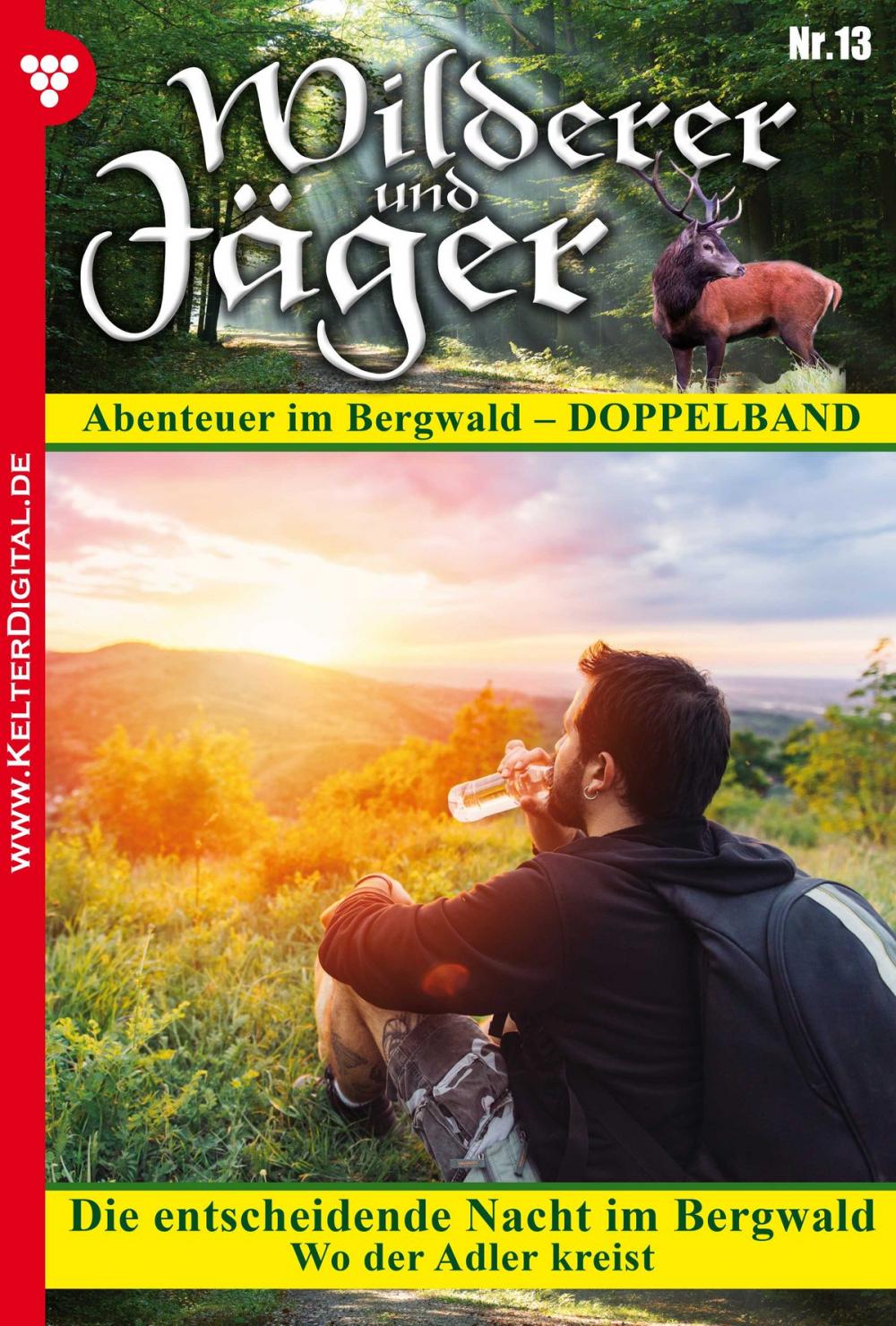 Big bigCover of Wilderer und Jäger 13 – Heimatroman