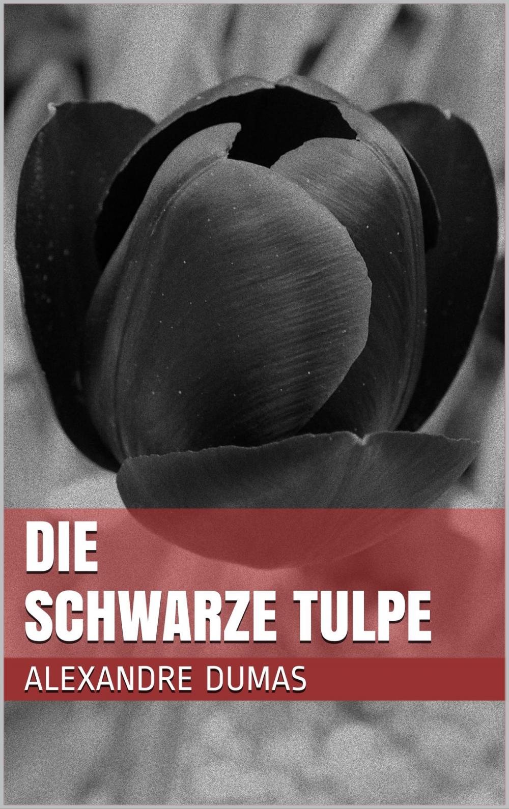 Big bigCover of Die schwarze Tulpe