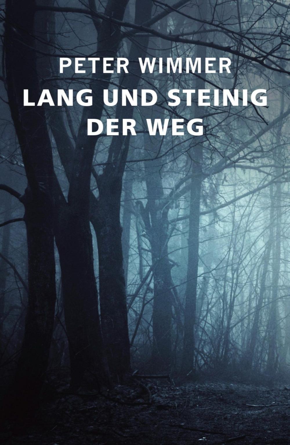 Big bigCover of LANG UND STEINIG DER WEG