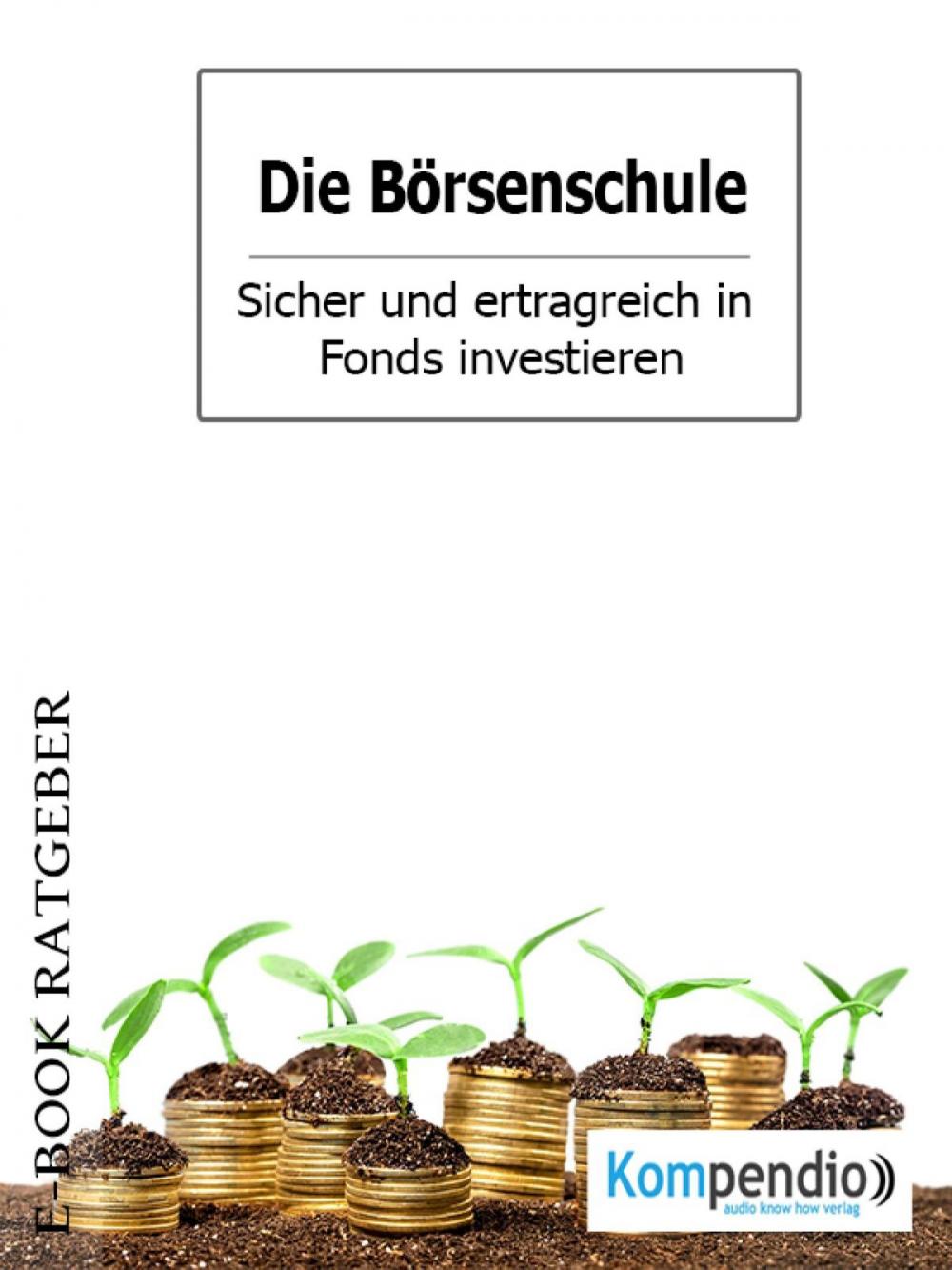 Big bigCover of Die Börsenschule – Sicher und ertragreich in Fonds investieren