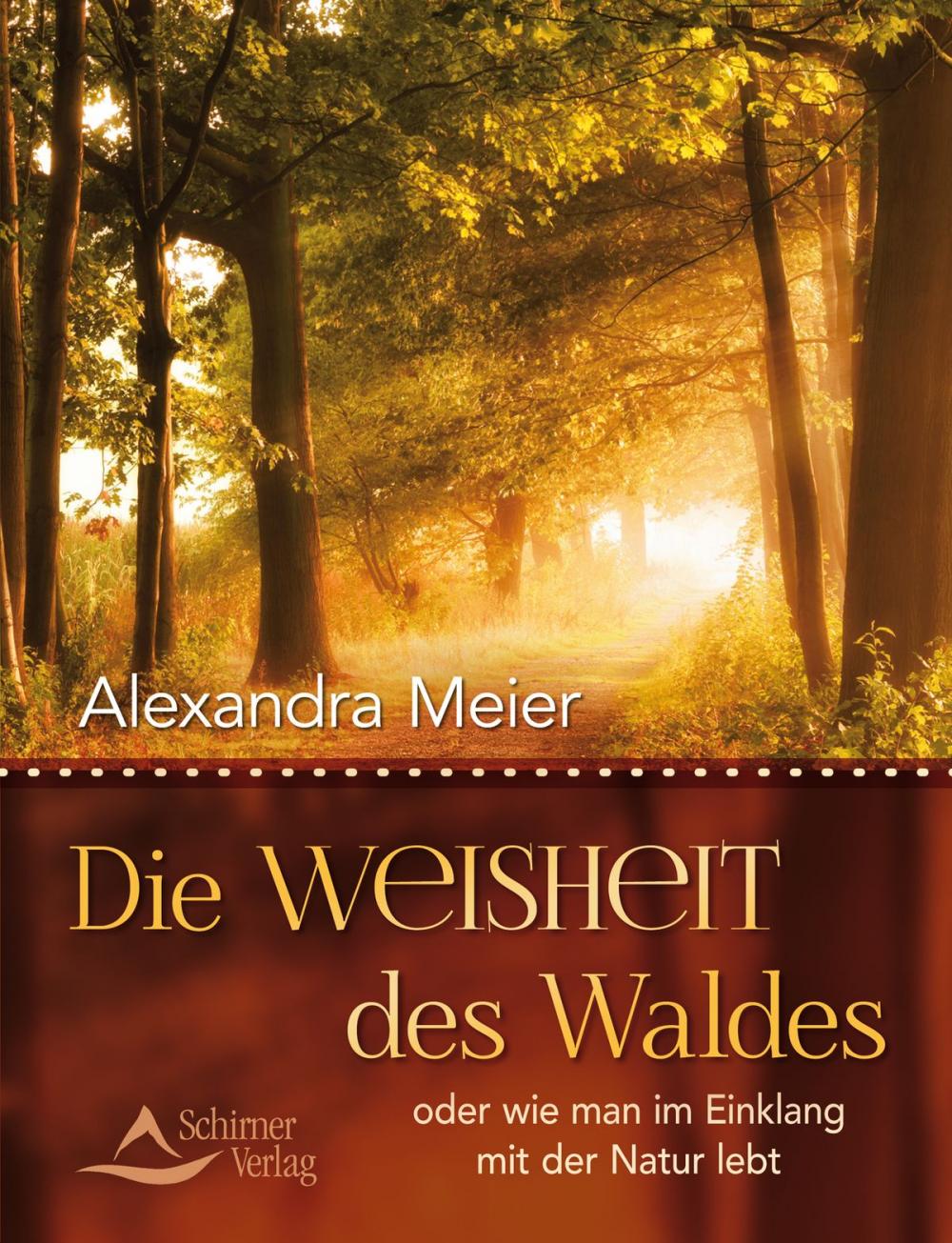 Big bigCover of Die Weisheit des Waldes