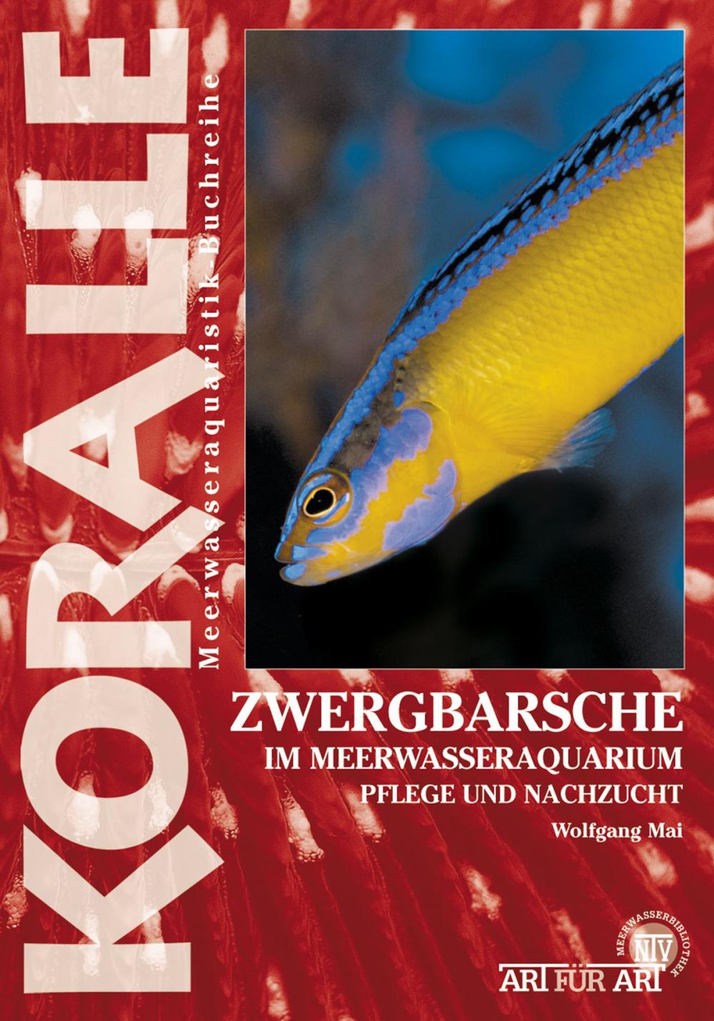 Big bigCover of Zwergbarsche im Meerwasseraquarium