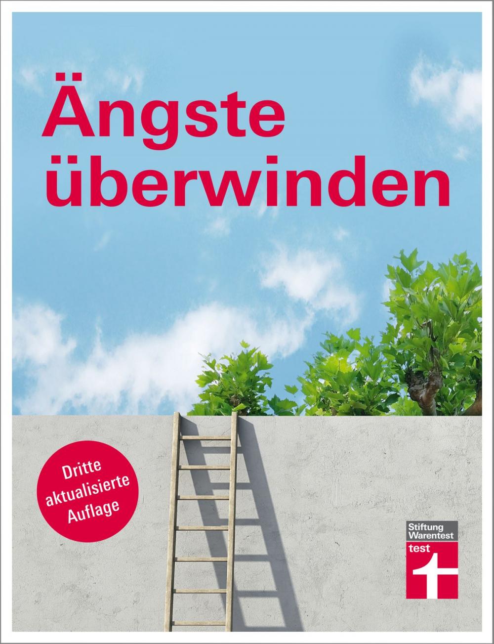 Big bigCover of Ängste überwinden