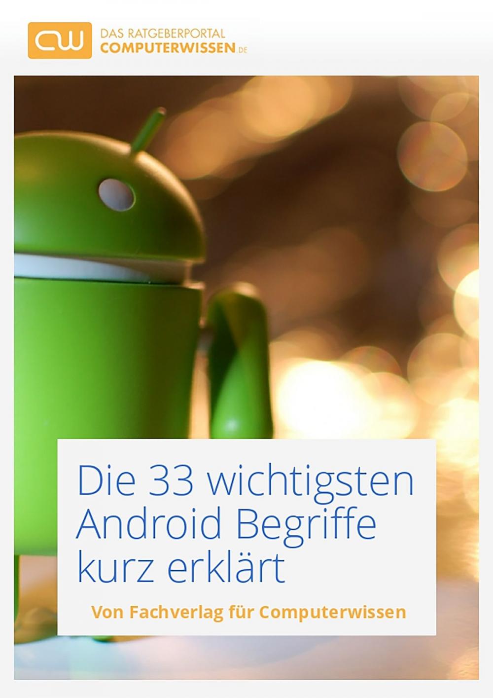 Big bigCover of Die 33 wichtigsten Android Begriffe kurz erklärt