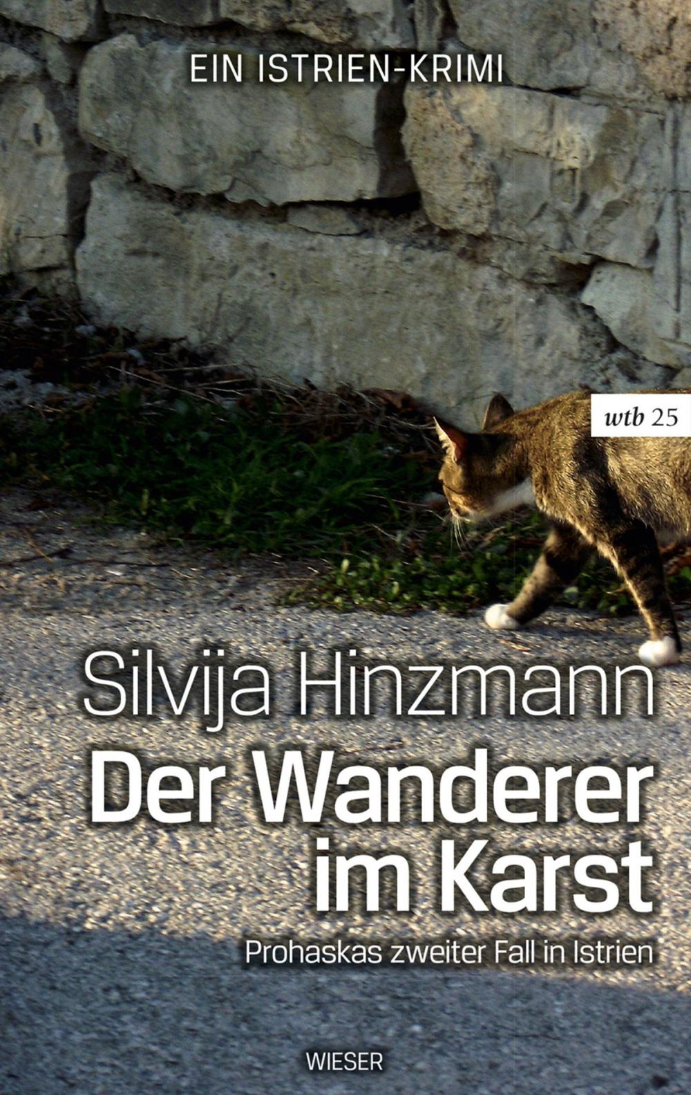 Big bigCover of Der Wanderer im Karst