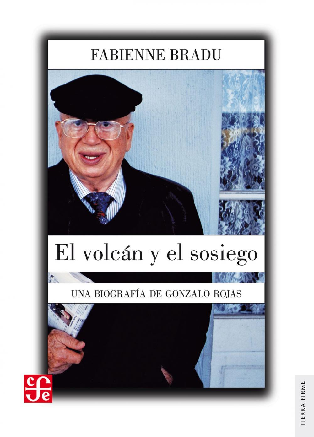 Big bigCover of El volcán y el sosiego