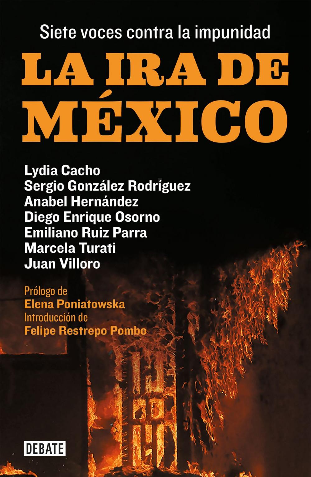 Big bigCover of La ira de México