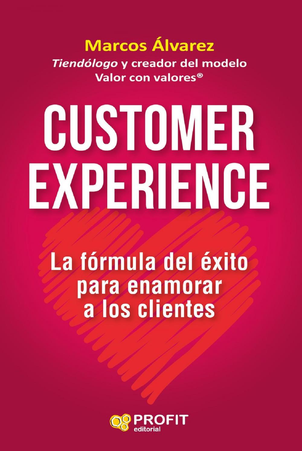 Big bigCover of Customer experience