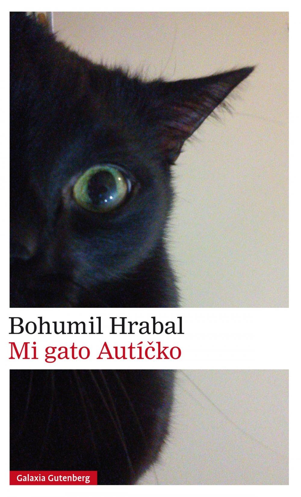 Big bigCover of Mi gato Autícko