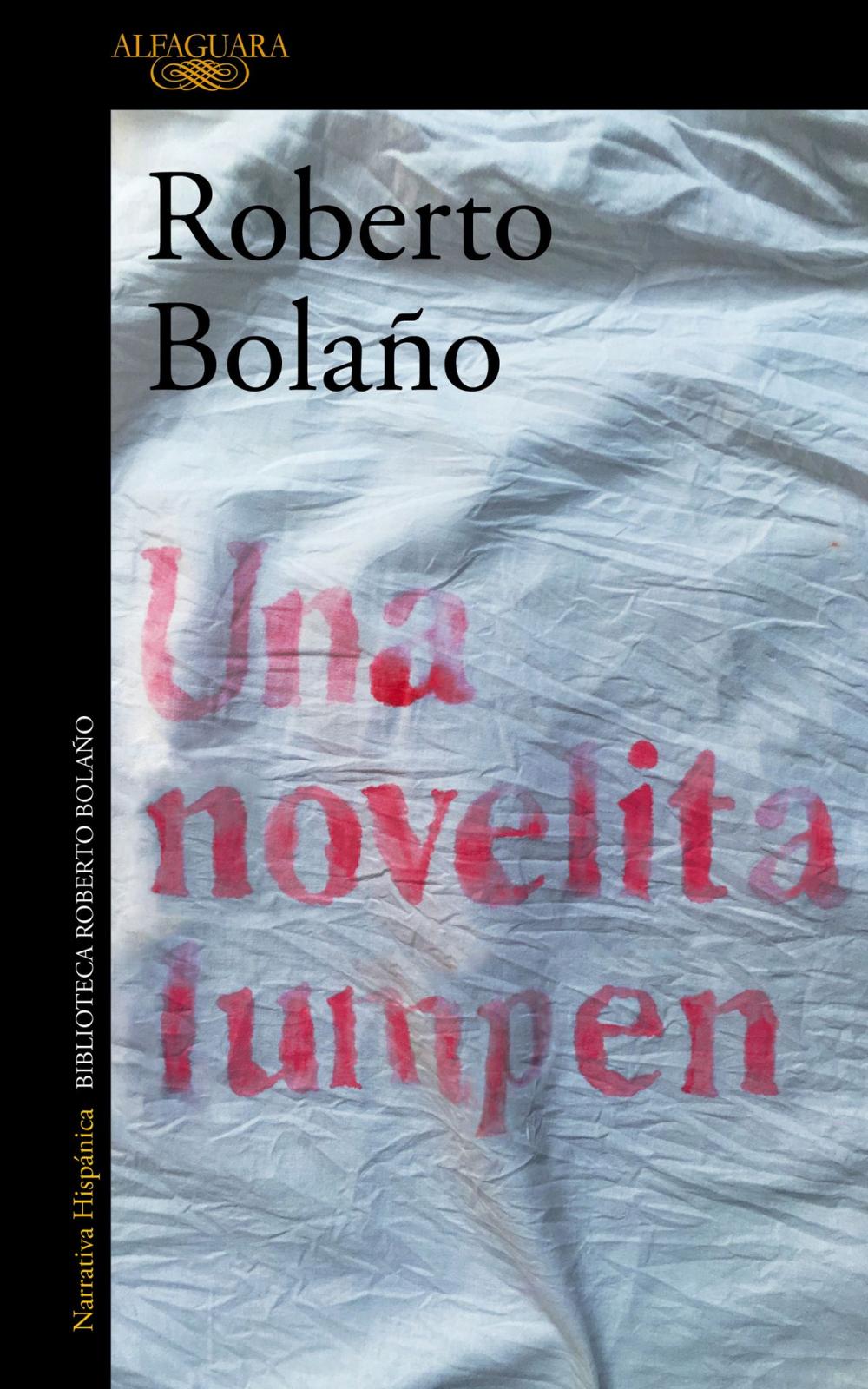 Big bigCover of Una novelita lumpen