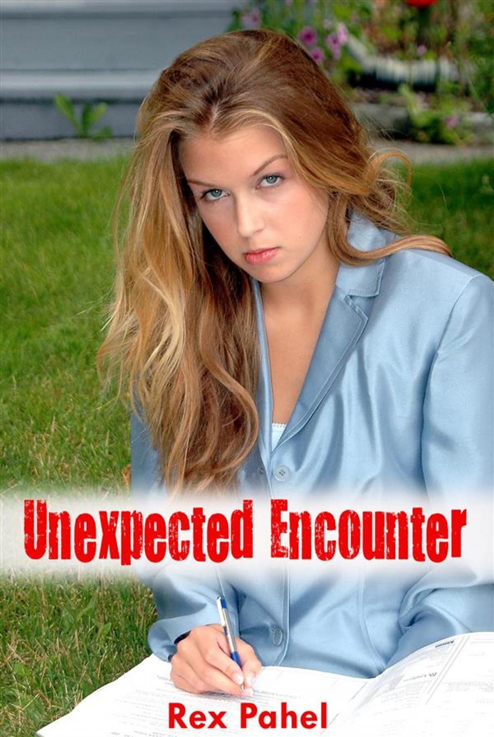 Big bigCover of Unexpected Encounter